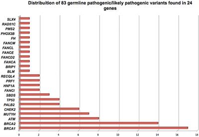 Characterization of genetic predisposition to molecular subtypes of breast cancer in Brazilian patients